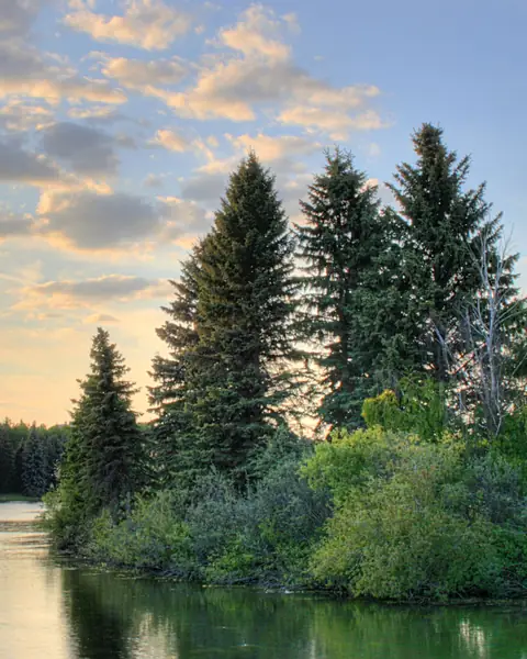 Calm lake at William Hawrelak Park in Edmonton with tall spruce trees under a golden evening sky
